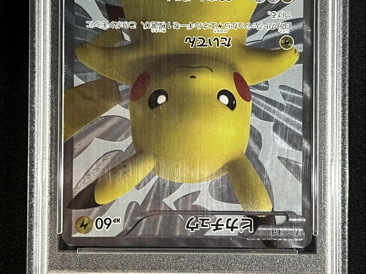 Pikachu [P] {229/BW-P} 1枚