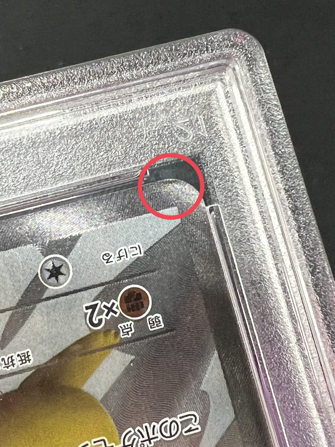 Pikachu [P] {229/BW-P} 1枚