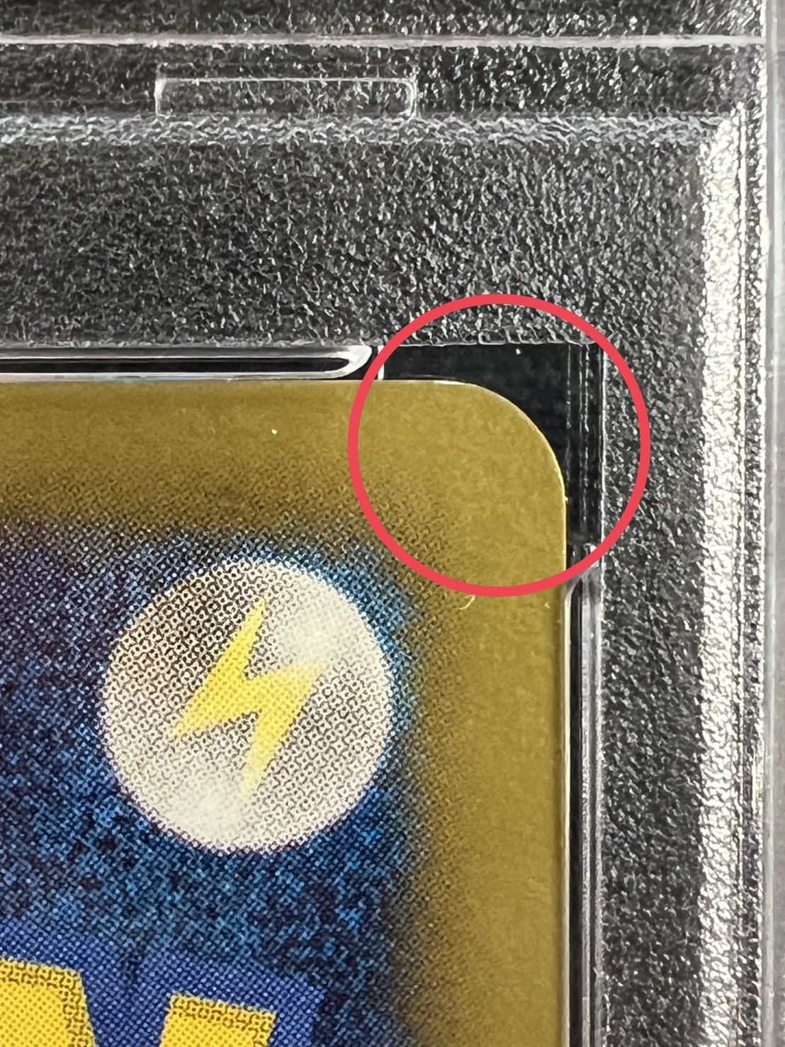 Pikachu [P] {229/BW-P} 1枚