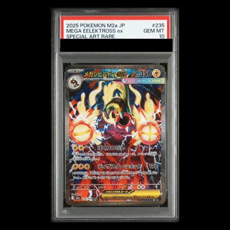 PSA10] Mega Eelektrossex SAR 235/193 1枚