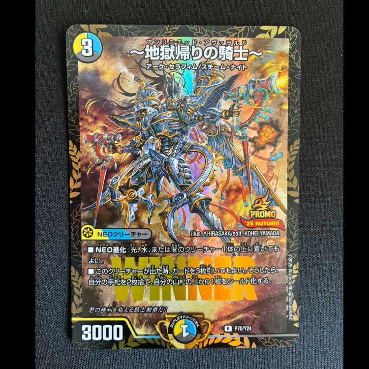 ~Knight returning from hell~ ㏚ P70/Y24 1枚