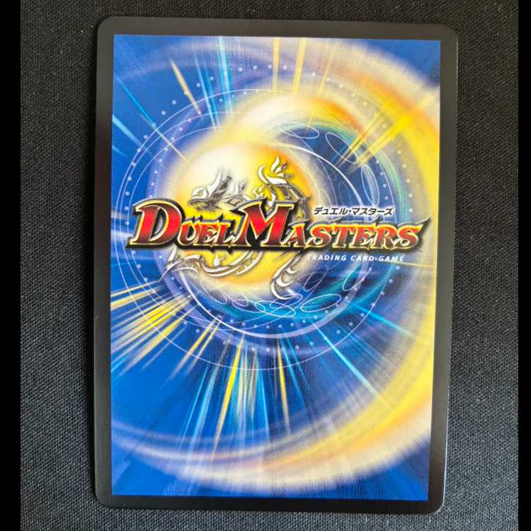 ~Knight returning from hell~ ㏚ P70/Y24 1枚