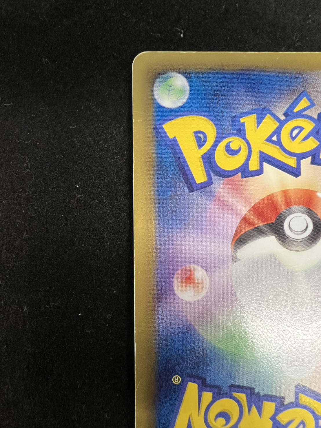 [State C] GiratinaEX [P] {146/BW-P} 1枚