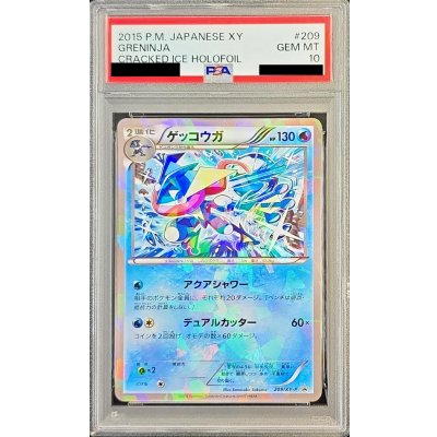 Difficult condition/PSA10 certified] Greninja [P] {209/XY-P} 1枚