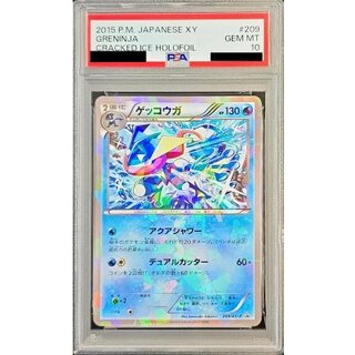 Difficult condition/PSA10 certified] Greninja [P] {209/XY-P} 1枚
