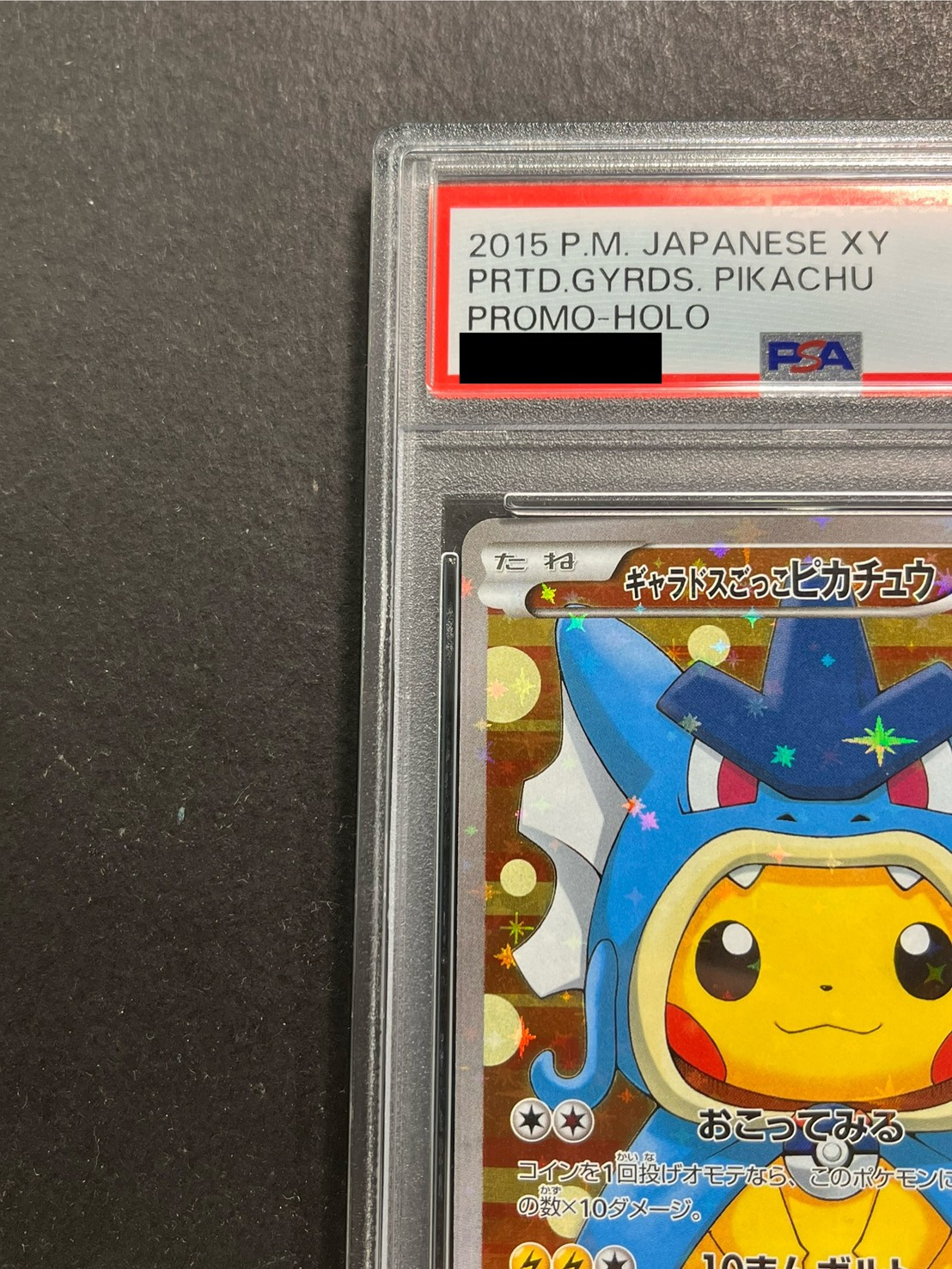 〔PSA10鑑定済〕ギャラドスごっこピカチュウ【P】{151/XY-P} 1枚