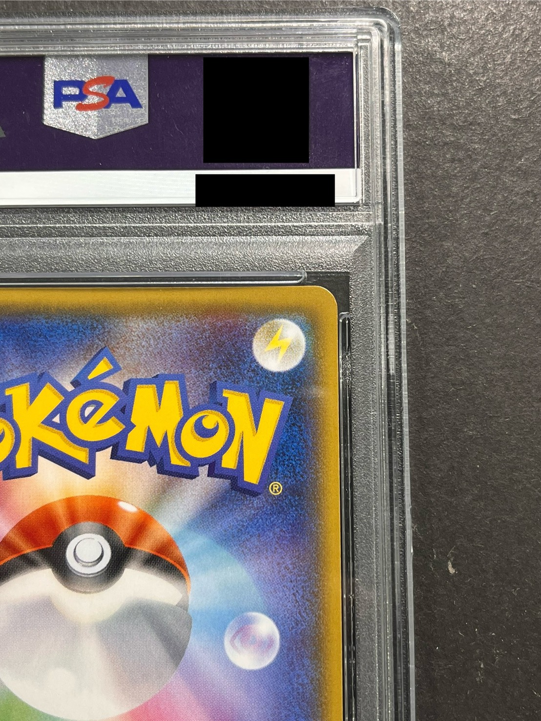 〔PSA10鑑定済〕ギャラドスごっこピカチュウ【P】{151/XY-P} 1枚