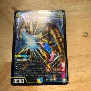 「雷光の聖騎士」