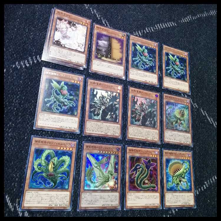 遊戯王　デッキ　捕食植物　プレデター・プランツ　スターヴ　[04656] 1枚