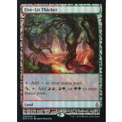 [EX+](FOIL)火の灯る茂み/Fire-Lit Thicket《英語》【EXP】 1枚