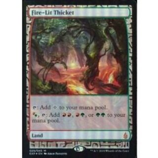[EX+](FOIL)火の灯る茂み/Fire-Lit Thicket《英語》【EXP】 1