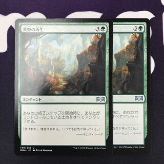 荒野の再生 2枚