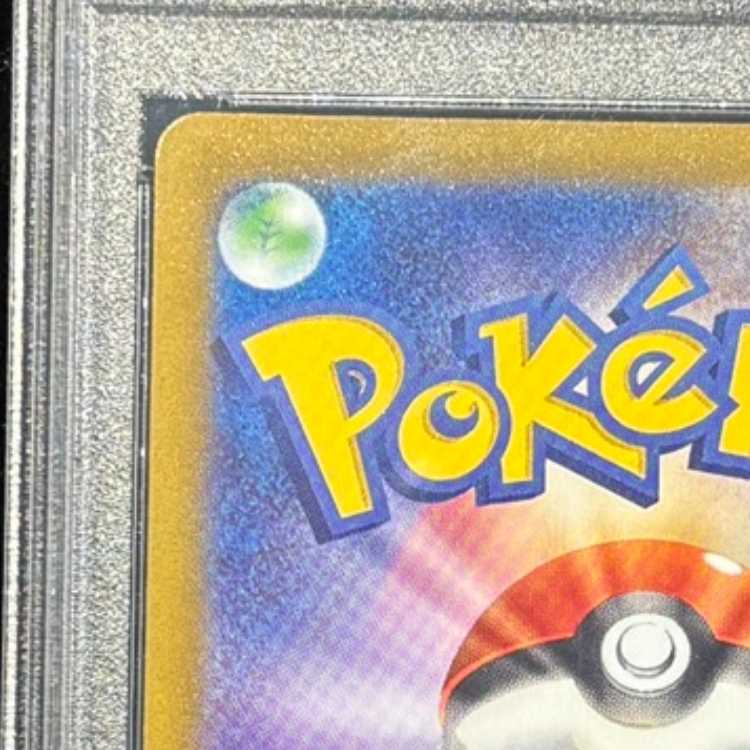 PSA10] Hakuba Budrex VMAX HR 084/070 1枚