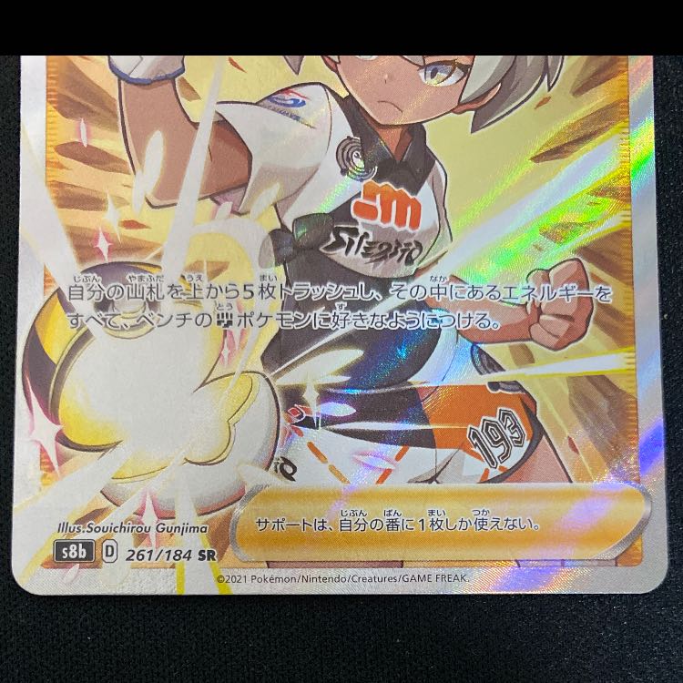 サイトウ SR 261/184 1枚