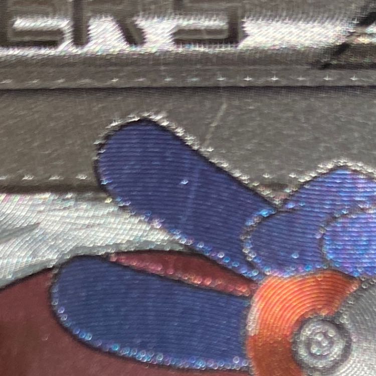 フウロ SR 076/070 1枚