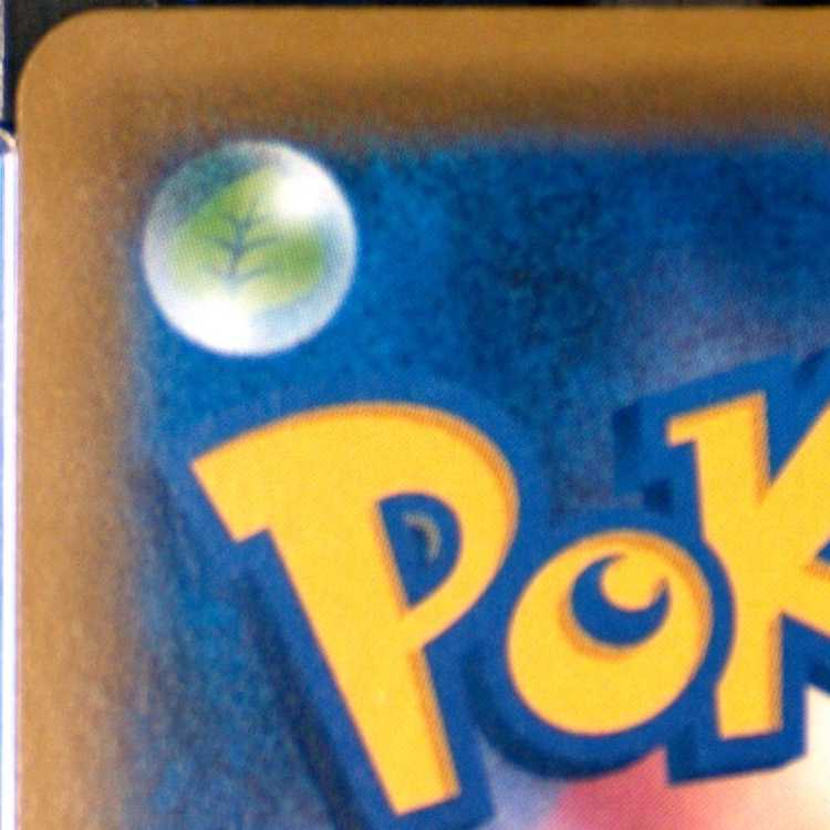 PSA10] Green's Exploration SR 196/173 1枚