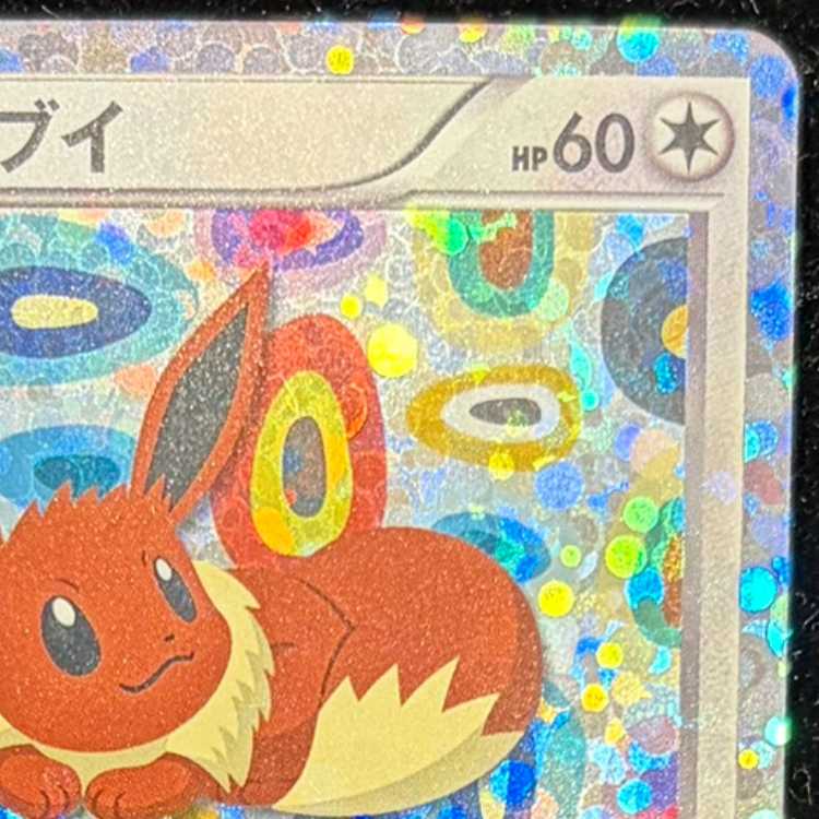 Eevee (Collection File) PROMO 189/BW-P 1枚