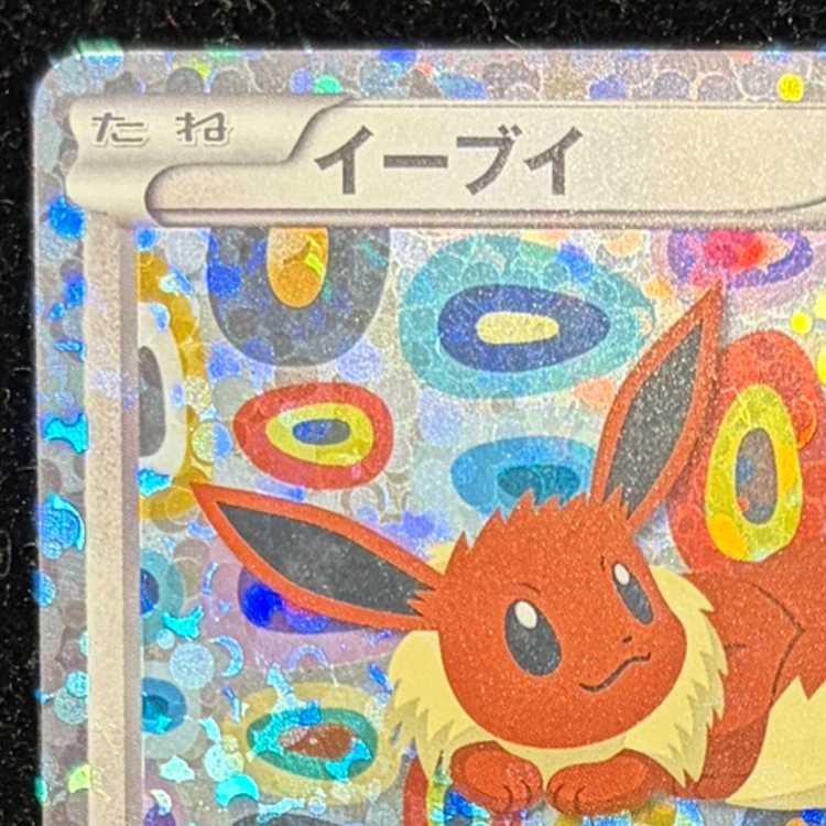 Eevee (Collection File) PROMO 189/BW-P 1枚