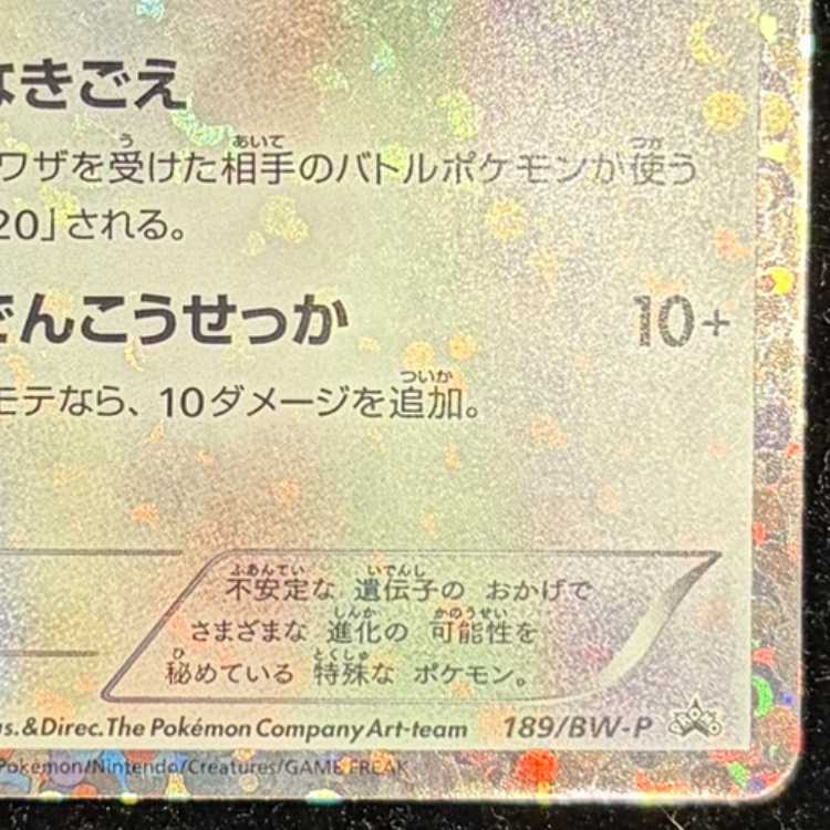 Eevee (Collection File) PROMO 189/BW-P 1枚