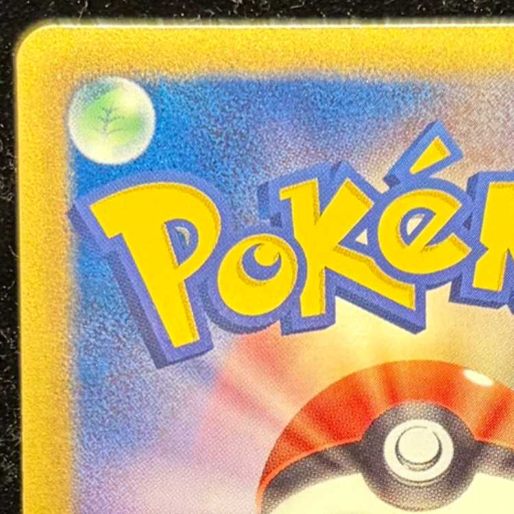 Eevee (Collection File) PROMO 189/BW-P 1枚