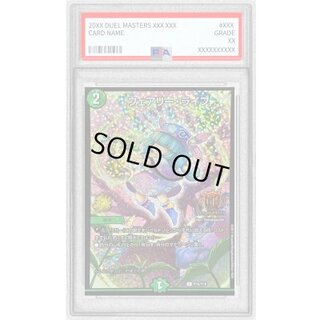 〔PSA10鑑定済〕フェアリー・ライフ【C】{P16/Y16}《自然》 1