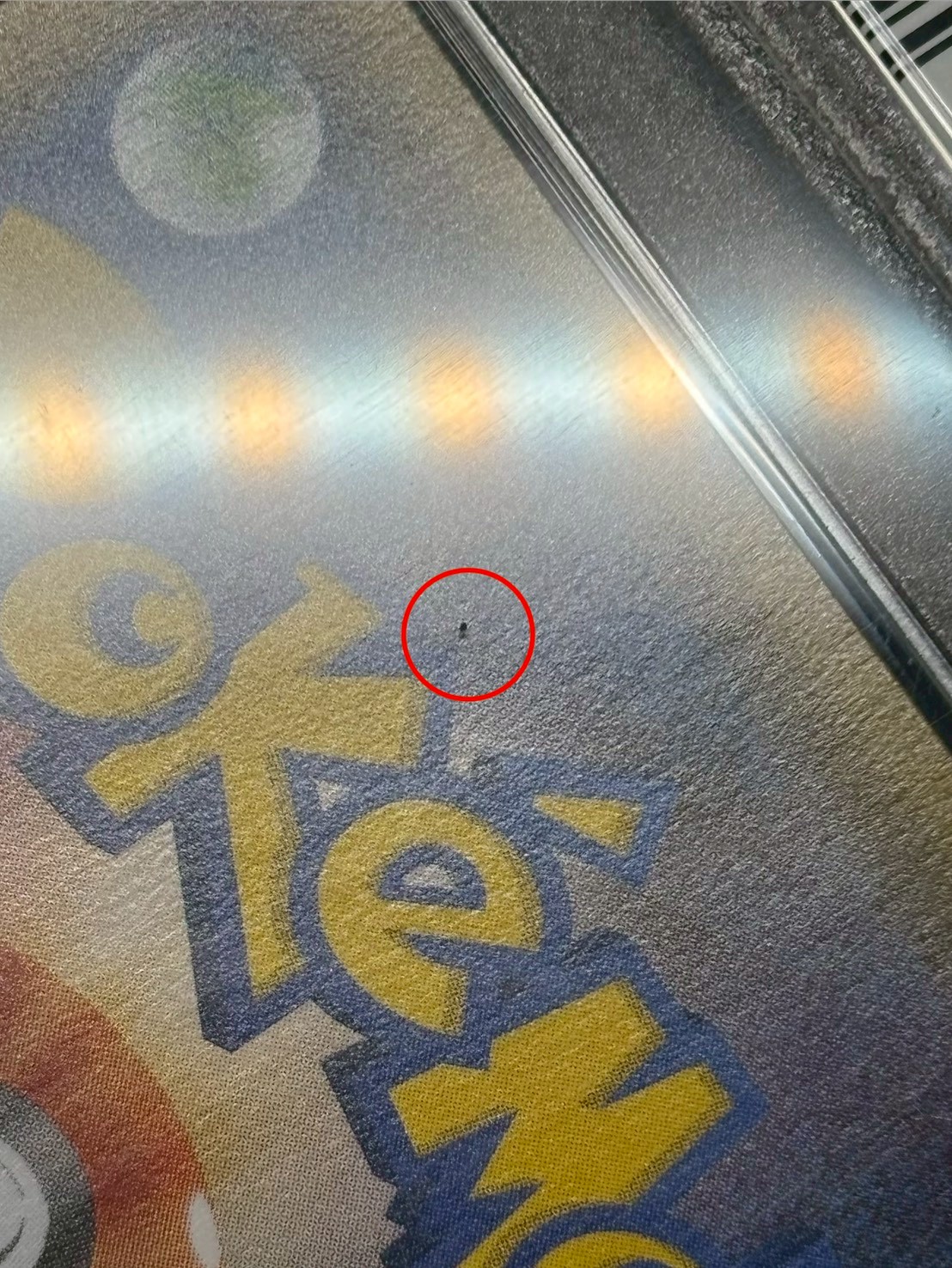 〔PSA10鑑定済〕アセロラ【SR】{056/049} 1枚