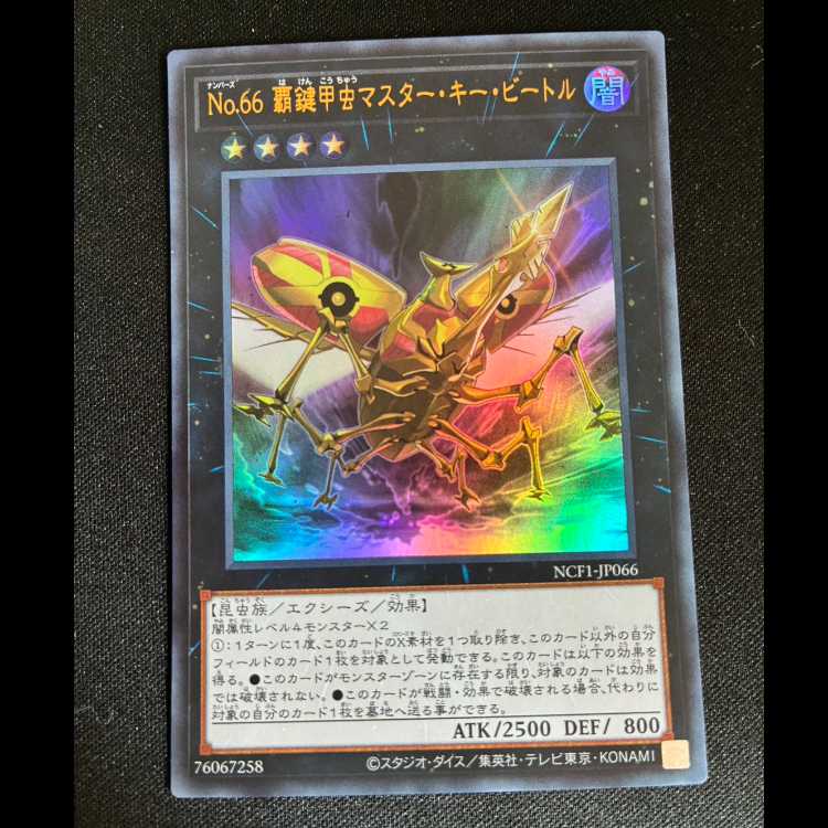 #No66 High Key Beetle Master Key Bedele Ultra NCF1-JP066 6} 1枚