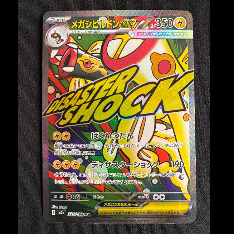 #MegaEelektrossex MA 225/193 1枚