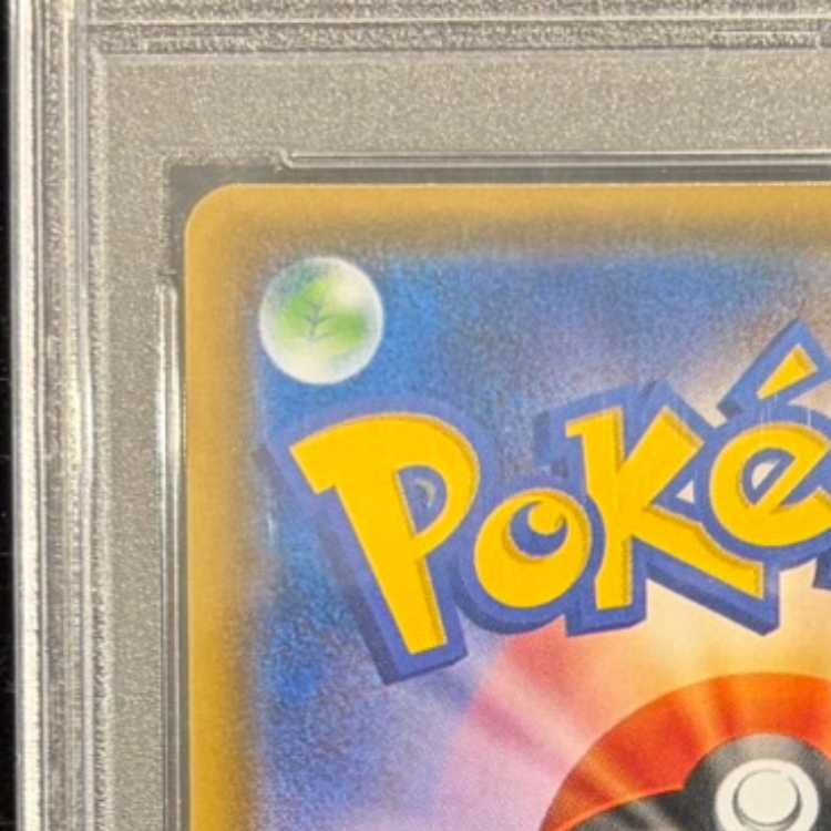 【PSA10】ポンチョを着たイーブイ PROMO 139/SM-P 1枚