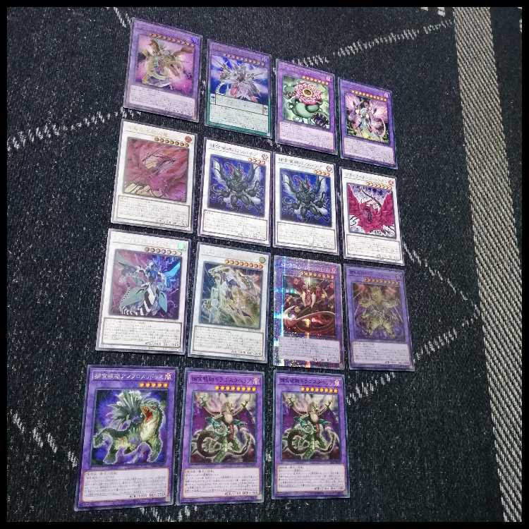 Yu-Gi-Oh Deck Prey Upon Plant Predator Plants Starve [04684]. 1枚