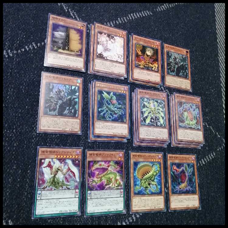 Yu-Gi-Oh Deck Prey Upon Plant Predator Plants Starve [04684]. 1枚