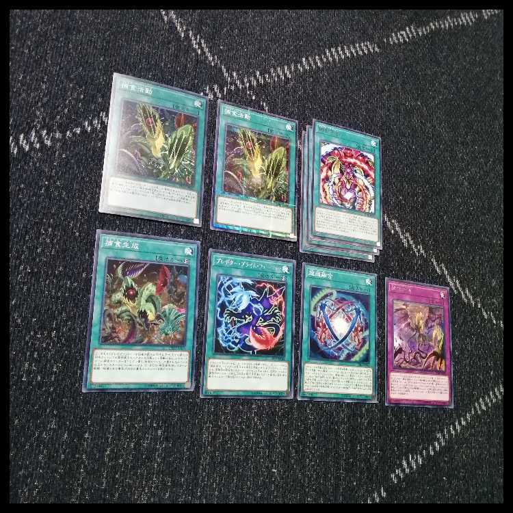 Yu-Gi-Oh Deck Prey Upon Plant Predator Plants Starve [04684]. 1枚