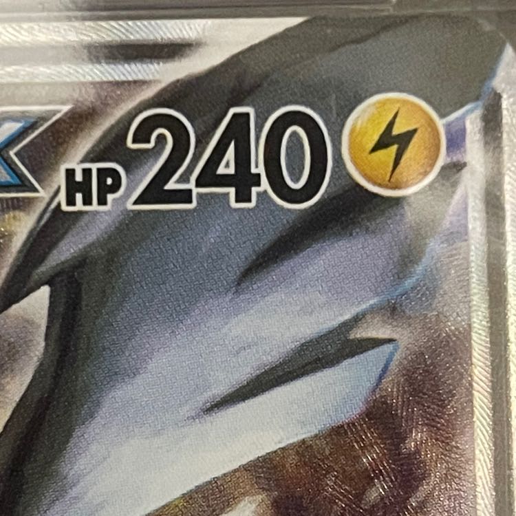 ピカチュウ&ゼクロムSA PSA10 1枚