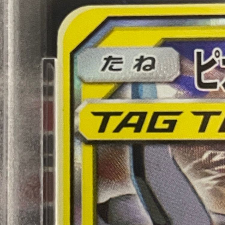 ピカチュウ&ゼクロムSA PSA10 1枚