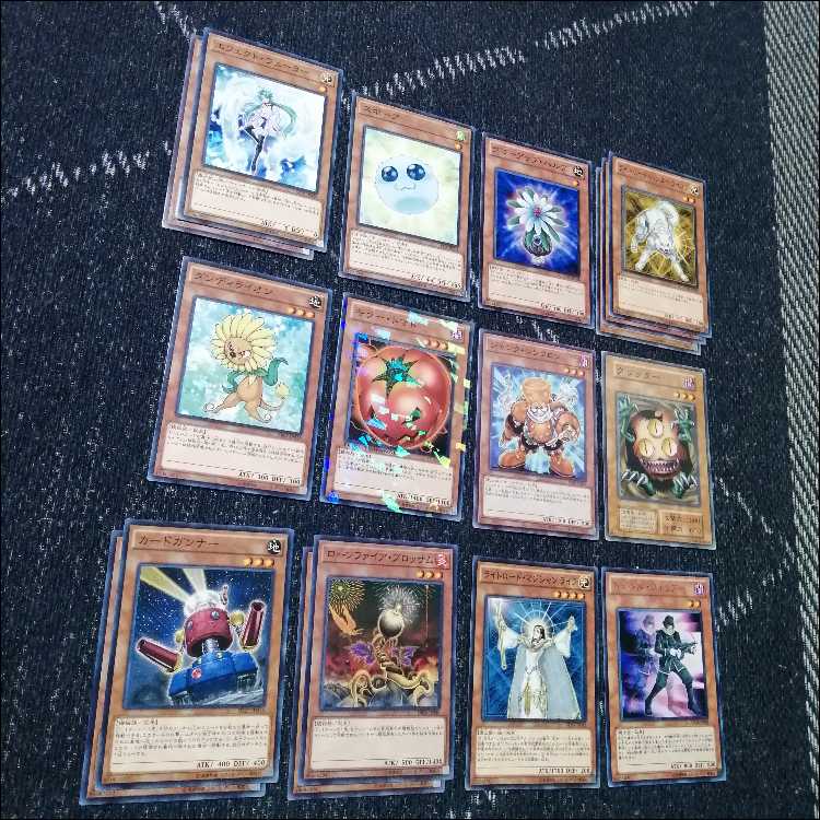 遊戯王　デッキ　デブリジャンド　1103環境　クェーサー　[04672] 1枚