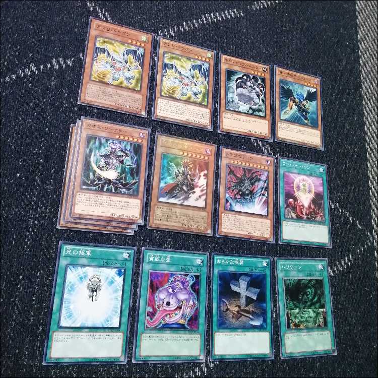 遊戯王　デッキ　デブリジャンド　1103環境　クェーサー　[04672] 1枚