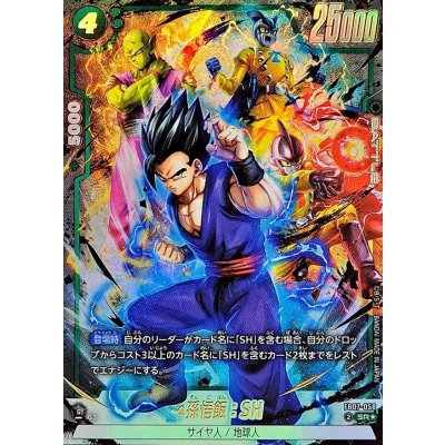 Son Gohan: SH (parallel) [SR☆] {FB07-058} 1枚