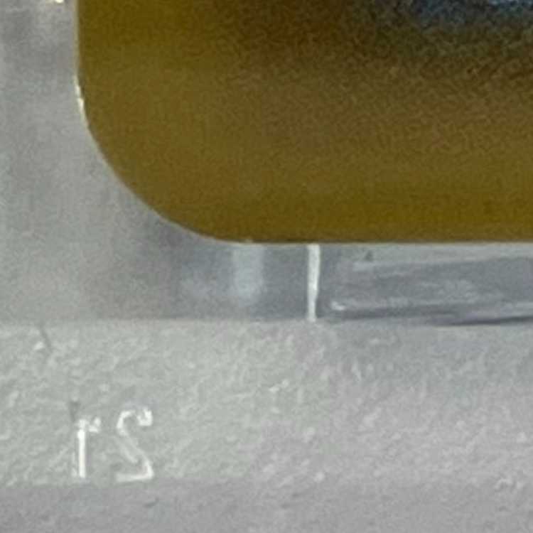 状態B【PSA10】ブラッキー☆(スター) (25th) PROMO PROMO 012/025 1枚