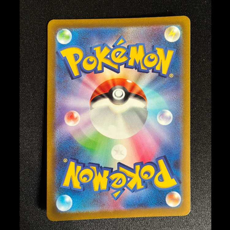 #セキ SAR 240/172 1枚