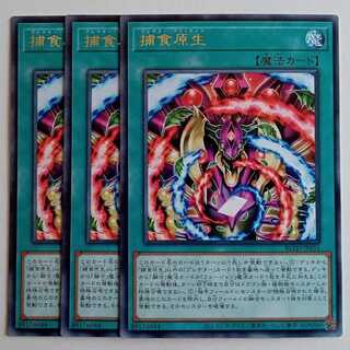 捕食原生 【レア】(3枚セット) BLZD-JP055 遊戯王 トレカ道 1枚