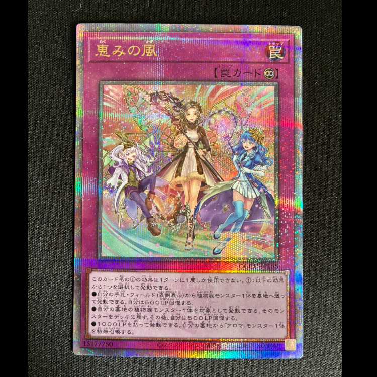 #Blessed Winds QCSE, 25th Sikh QCCU-JP168 1枚