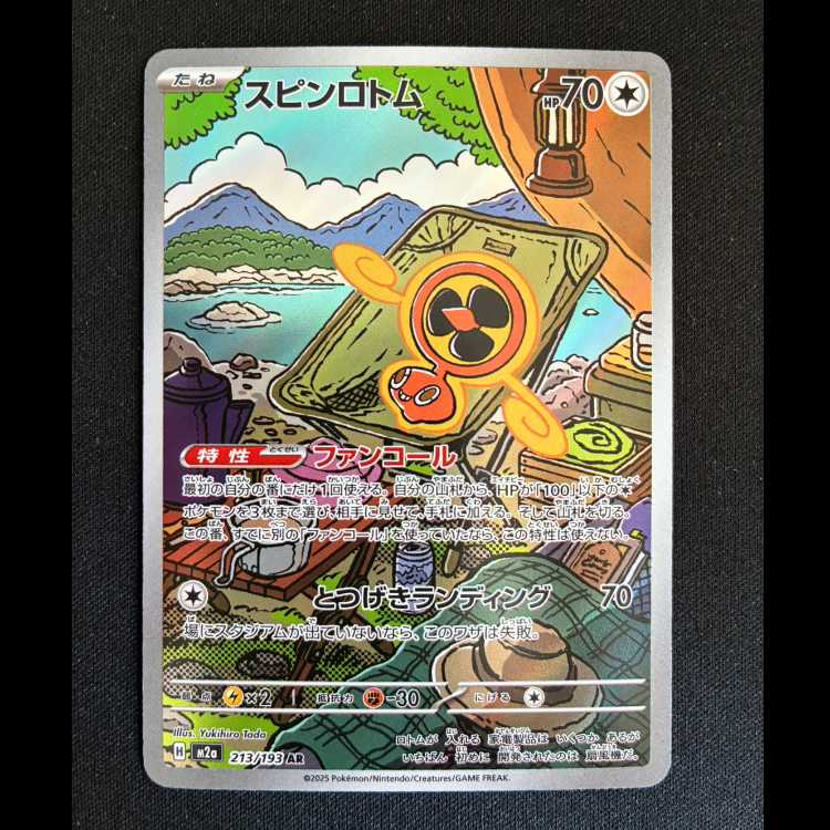 スピンロトム AR 213/193 1枚