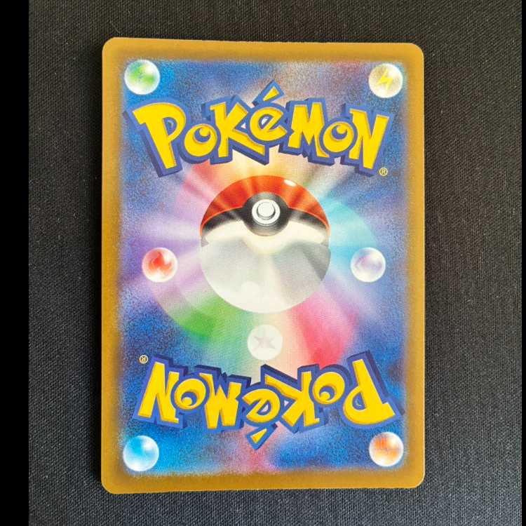 スピンロトム AR 213/193 1枚