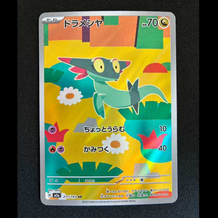 ドラメシヤ AR M2a 211/193 1枚