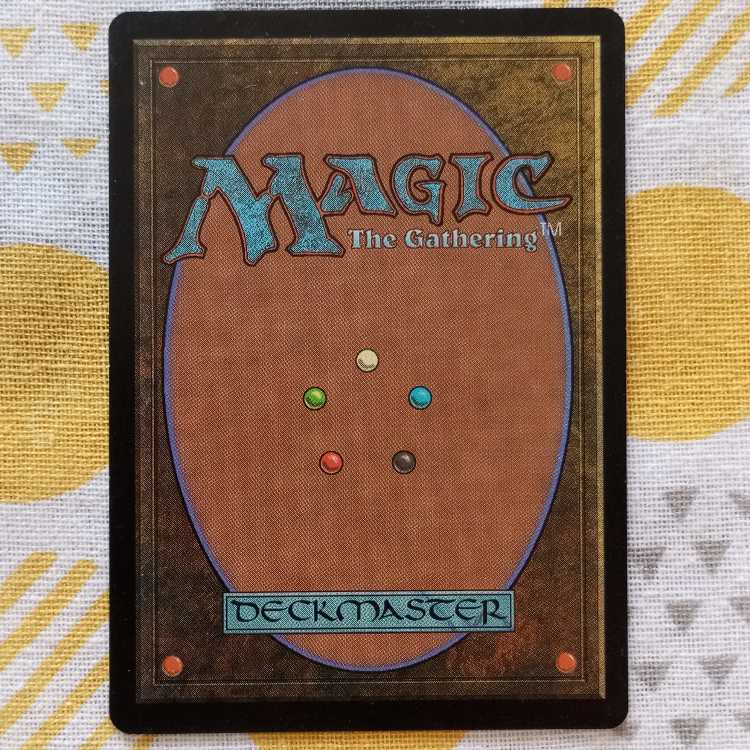 Sunscape Familiar 1枚