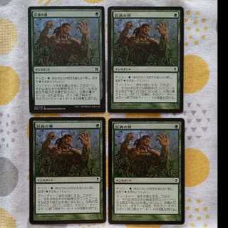 Vines of Vastwood (Different Expansion) 4 copies 4枚