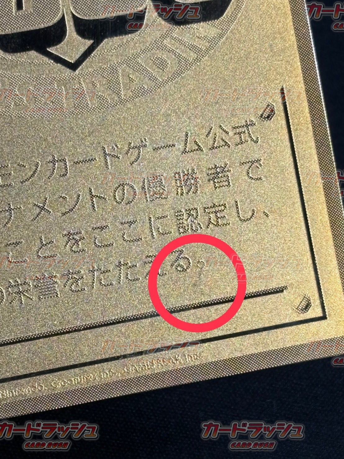 No.1 TRAINER (Super Battle 2000 w/ Frame Fabricate) [P]. 1枚