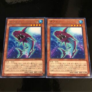 ダブルフィン・シャーク R