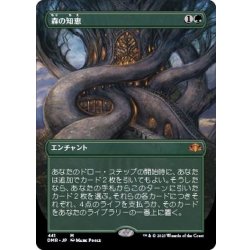[EX+](Full Art) Sylvan Library/Sylvan Library [Japanese] [DMR 1枚