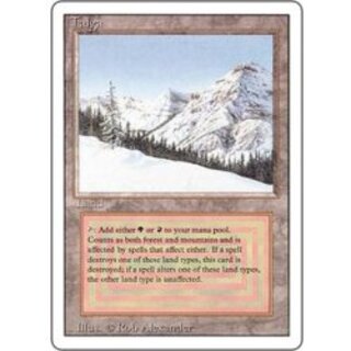 [EX]Taiga [English] [3ED]. 1枚